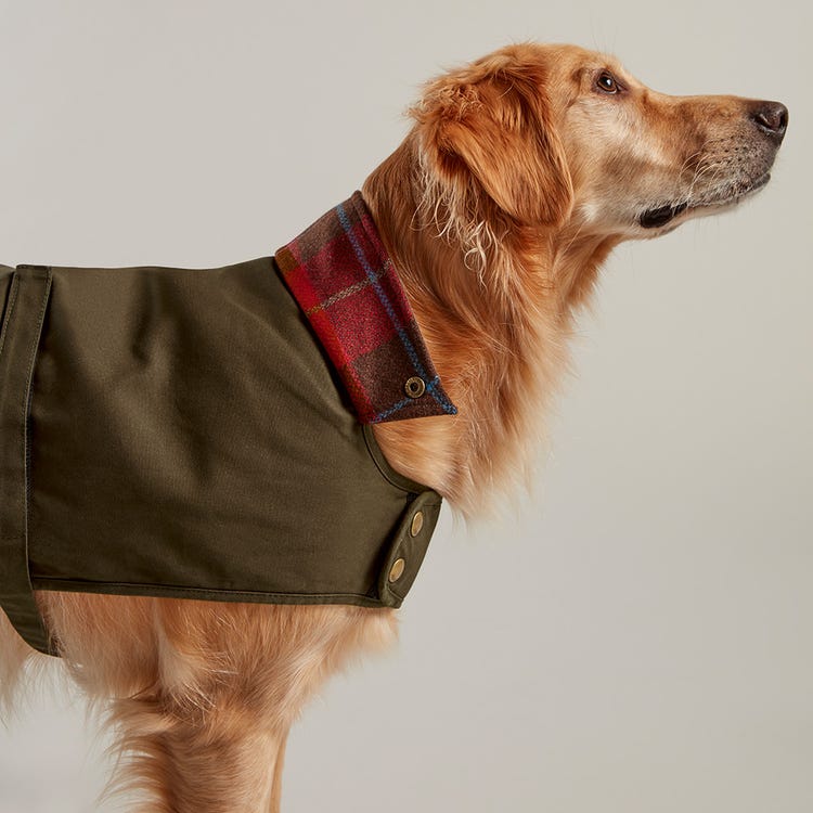 Joules Wax Dog Coat image 3